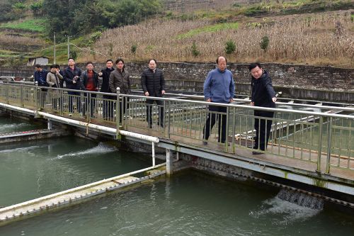 李召虎一行在花坪镇大洪寨村国硒冷水鱼基地调研